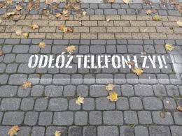 "Odłóż telefon i żyj". Hasło namalowano przy kilkudziesięciu skrzyżowaniach w Opolu
