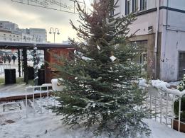 Choinka Życzeń znów przed Talentownią. Można pomóc dzieciom i seniorom