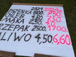 "Nie będziemy umierać". Akcja protestacyjno - informacyjna w centrum Opola