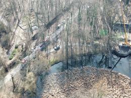 Poważnym urazem głowy zakończyła się wycinka drzew na Bolko
