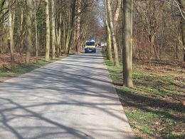 Poważnym urazem głowy zakończyła się wycinka drzew na Bolko