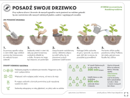 Szósta edycja akcji #sadziMY Lasów Państwowych już dziś