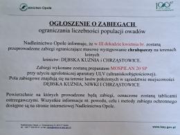 Misja zmniejszenia populacji chrabąszcza majowego rozpoczęta