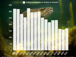 Szczupak, król wód, znika z polskich akwenów. Połowy spadły dwukrotnie