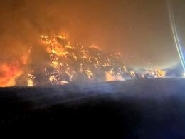 Udawani rolnicy chcieli wzbogacić się na cudzym mieniu