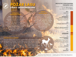 Planujesz wycieczkę do lasu? Sprawdź, czy jesteś gotowy