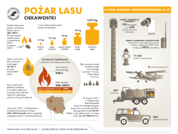 Planujesz wycieczkę do lasu? Sprawdź, czy jesteś gotowy