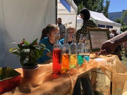 Strassenfest 2024 na Placu Wolności. Przyjdź i poznaj niemiecką kulturę