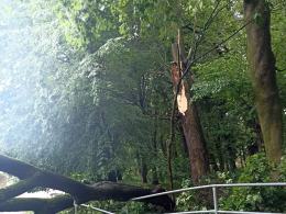 Burze nad Opolszczyzną spowodowały 89 interwencji strażaków