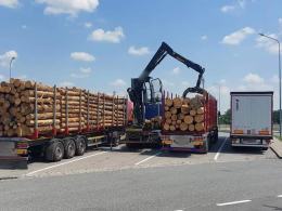 Przeładowanych 26 transportów drewna - rekordzista miał 24 tony nadwagi