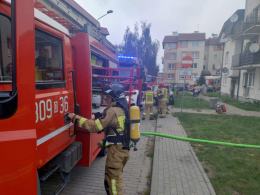 Pożar mieszkania w Opolu - strażakom udało się uratować dwa psy