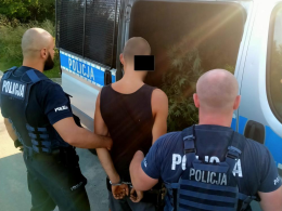 Sadził pomidory, a między nimi marihuanę. 34-latek złapany