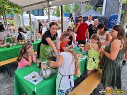 15. Festiwal Opolskich Smaków rusza już dziś!