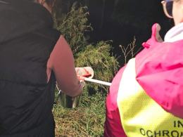 Śnięte ryby na rzece Cielnica: trwają badania przyczyn zjawiska