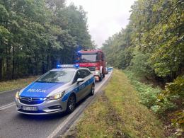 Krasiejów: samochód uderzył w drzewo. Ruch wahadłowy