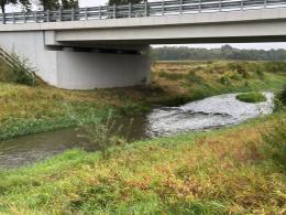 Straż pożarna w całym kraju interweniowała 124 razy