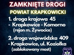 Utrudnienia w ruchu na Opolszczyźnie