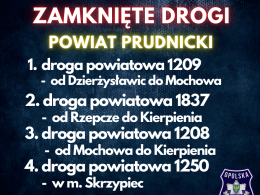 Utrudnienia w ruchu na Opolszczyźnie