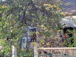 Pożar na ul. Świętej Anny w Opolu