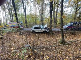Samochód powiadomił służby systemem eCall - kierowca miał 2,5 promila alkoholu