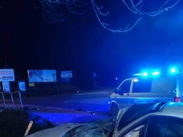 Pijany kierowca audi uderzył w drzewo - pasażerka ranna