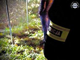 Makabryczne odkrycie: Zwłoki zakopane w ziemi mogą należeć do zaginionego mieszkańca Krapkowic