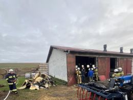 Pożar w chlewni w Radoszowach - większość zwierząt uratowana