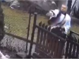 Ksiądz ukarany upomnieniem za agresję wobec psa w Tolkowcu