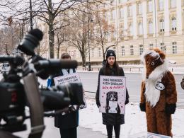 Kilka tysięcy pocztówek od miłośników zwierząt trafiło do rąk Donalda Tuska