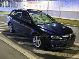 Opole: Potrącenie kobiety z dziećmi i psem na pasach. (WIDEO)