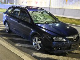 Opole: Potrącenie kobiety z dziećmi i psem na pasach. (WIDEO)