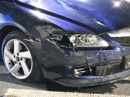 Opole: Potrącenie kobiety z dziećmi i psem na pasach. (WIDEO)