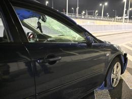 Opole: Potrącenie kobiety z dziećmi i psem na pasach. (WIDEO)