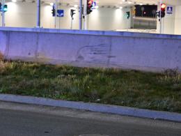 Opole: Potrącenie kobiety z dziećmi i psem na pasach. (WIDEO)