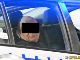 Opole: Potrącenie kobiety z dziećmi i psem na pasach. (WIDEO)
