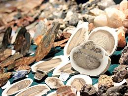 Minerały, kryształy i skarby natury w Opolu. Giełda już w ten weekend
