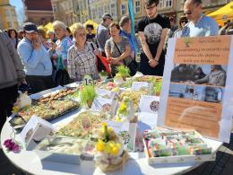 Jajecznica z 1500 jaj i wielkanocny żurek. Opolanie świętowali na rynku
