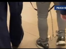 Kluczborscy policjanci rozbili grupę przestępczą kradnącą samochody (WIDEO)