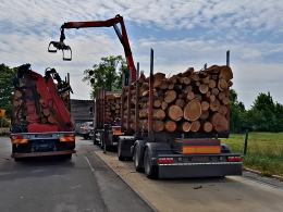 Przeciążony transport drewna zatrzymany przez Inspekcję Transportu Drogowego