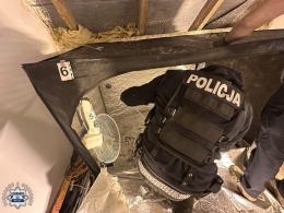 Sprzęt, namioty, suszarnia - 37-latek z Wrocławia odpowie za uprawę marihuany