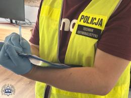 Sprzęt, namioty, suszarnia - 37-latek z Wrocławia odpowie za uprawę marihuany