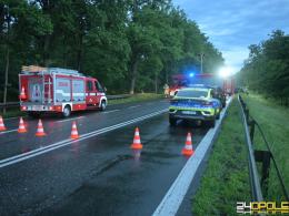 Policja poszukuje świadków i autora nagrania wypadku śmiertelnego na DK46 (WIDEO)