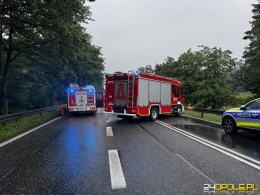 Policja poszukuje świadków i autora nagrania wypadku śmiertelnego na DK46 (WIDEO)