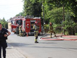 Pożar domu w Opolu - jedna osoba w szpitalu, koty uratowane przez strażaków