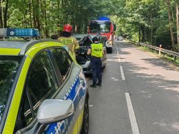Konar runął na auto na trasie Pokój - Krzywa Góra