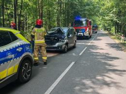 Konar runął na auto na trasie Pokój - Krzywa Góra