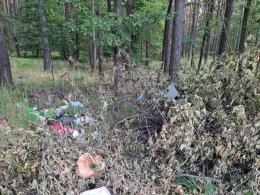 Nielegalny wywóz śmieci do lasu. Znów ktoś pomylił las z pszokiem