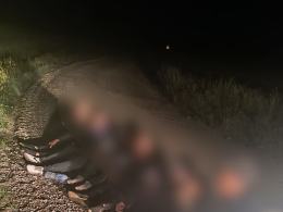 Kurierzy z migrantami zatrzymywani codziennie. Wśród kurierów obywatele Ukrainy i Łotwy