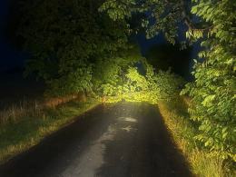 Silny wiatr i opady spowodowały 13 interwencji strażaków w regionie