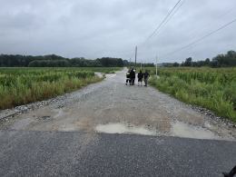 W Kałkowie znów zalało drogę. Powrócił problem sprzed dziesięciu miesięcy (WIDEO)